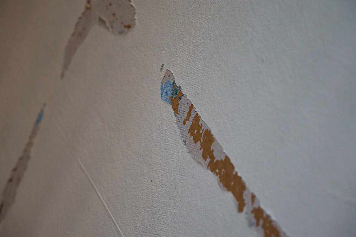 Flood Cleanup service in Evanston, IL